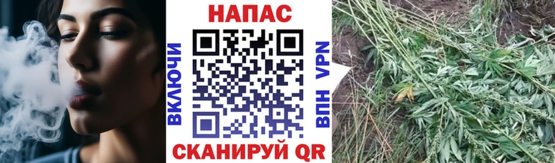 Купить наркотик аптеки Верхнеуральск Галлюциногенные грибы  КОКАИН  Меф мяу мяу  kraken tor  ГАШ 