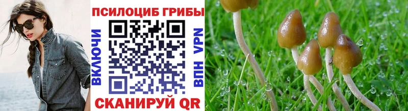 Галлюциногенные грибы мухоморы  Верхнеуральск 